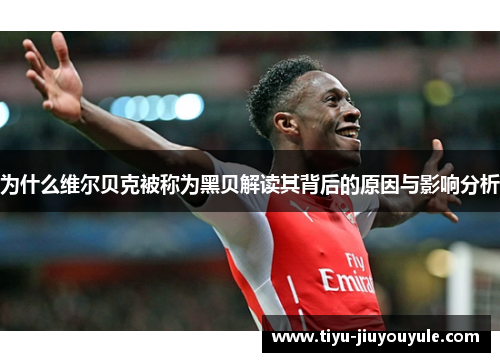 为什么维尔贝克被称为黑贝解读其背后的原因与影响分析