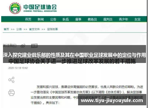 深入探究建业俱乐部的性质及其在中国职业足球发展中的定位与作用